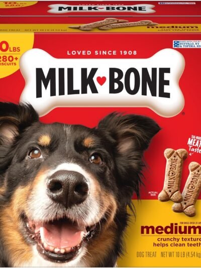 Milk-Bone Original Dog Treats Biscuits for Medium Dogs, 10 Pound
