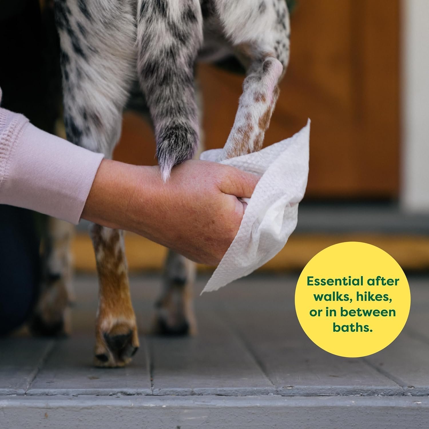 Earth Rated Pet Wipes for Dogs and Cats, Hypoallergenic, Cleaning and Hydrating, for Grooming Paws, Body and Butt, Unscented, 100 Count - Image 2