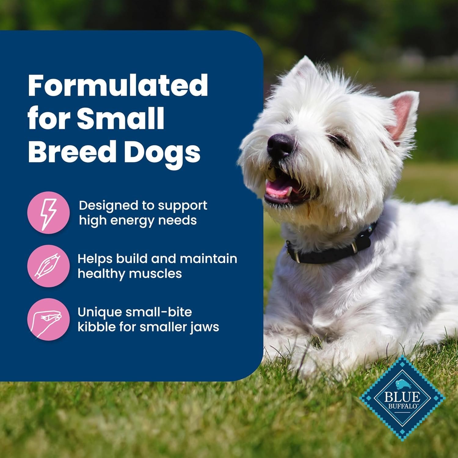 Blue Buffalo Life Protection Formula Adult Small Breed Dry Dog Food, Supports High Energy Needs, Made with Natural Ingredients, Chicken & Brown Rice Recipe, 5-lb. Bag - Image 4